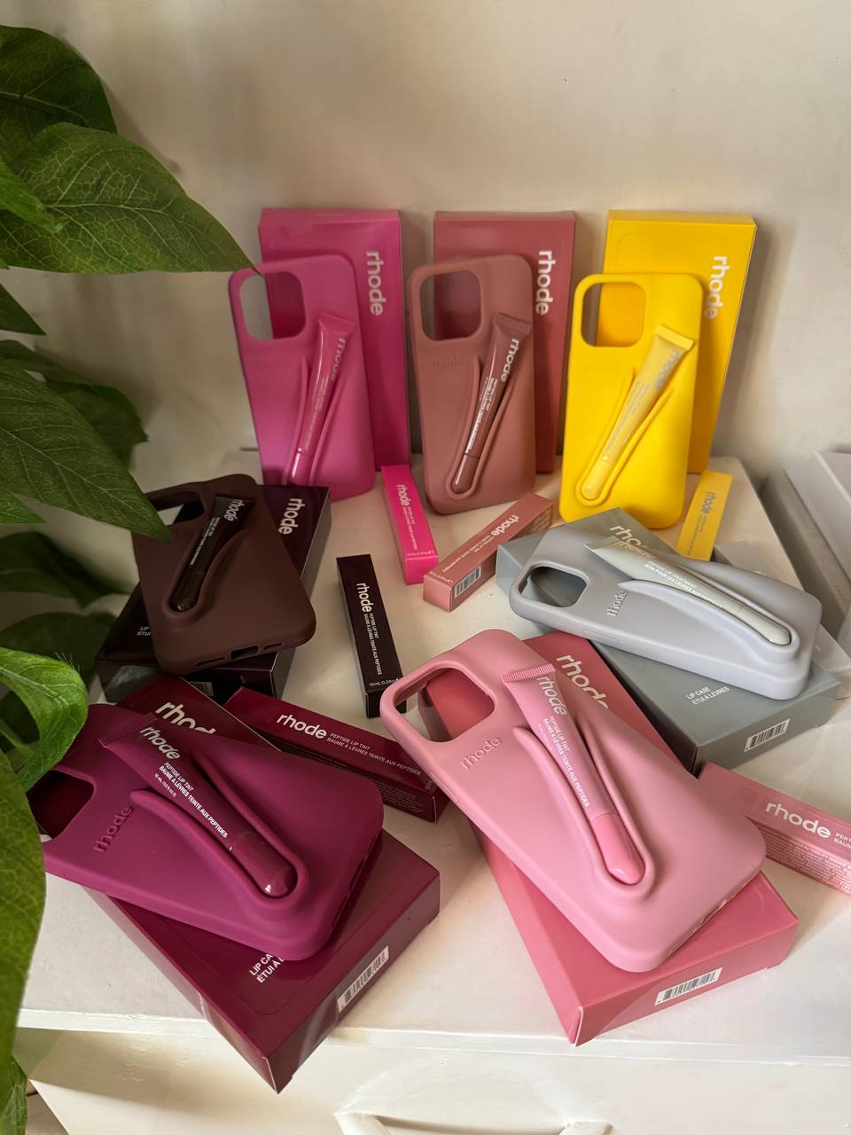Cases