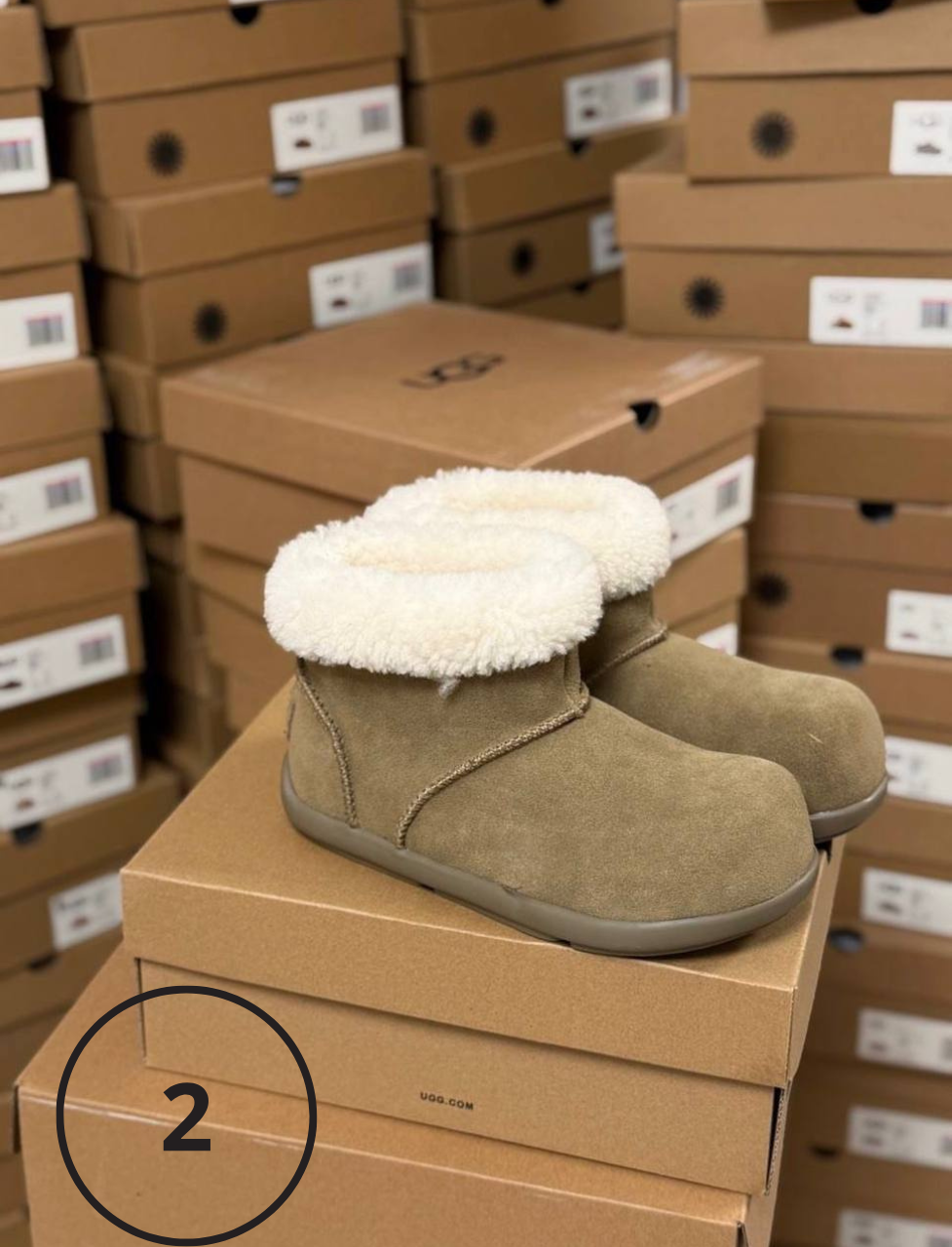 Uggs