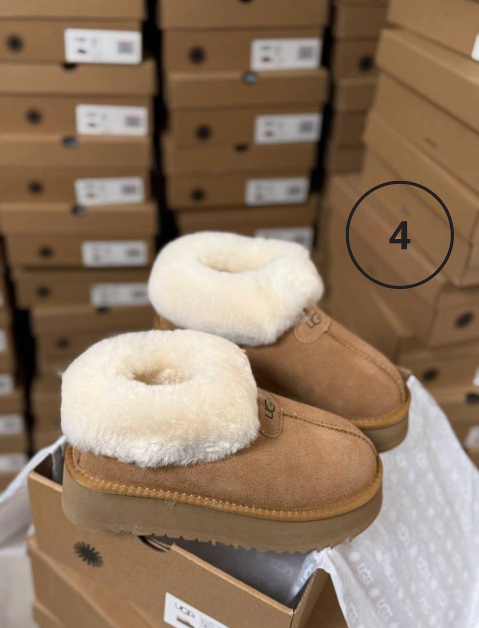 Uggs